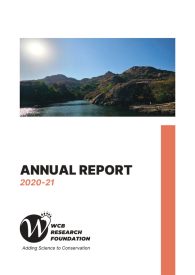 annual reports